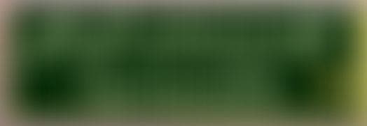 Ahsan Chaudhary - Groom