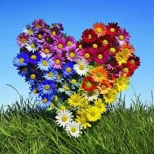 Tanveer Abbas - Groom