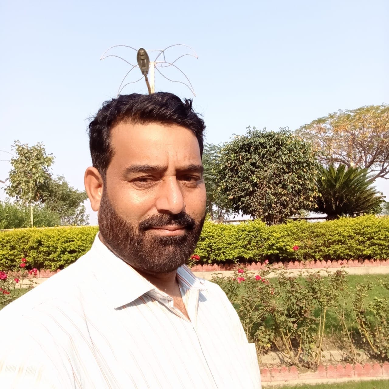 Mubashir Hassan Sajid Hussain - Groom