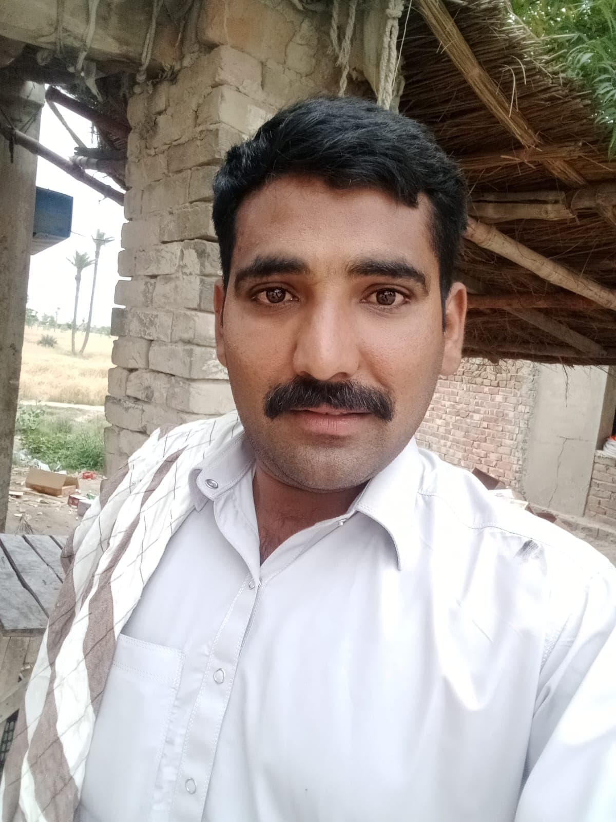 Muhammad Sajjad Mushtaq - Groom