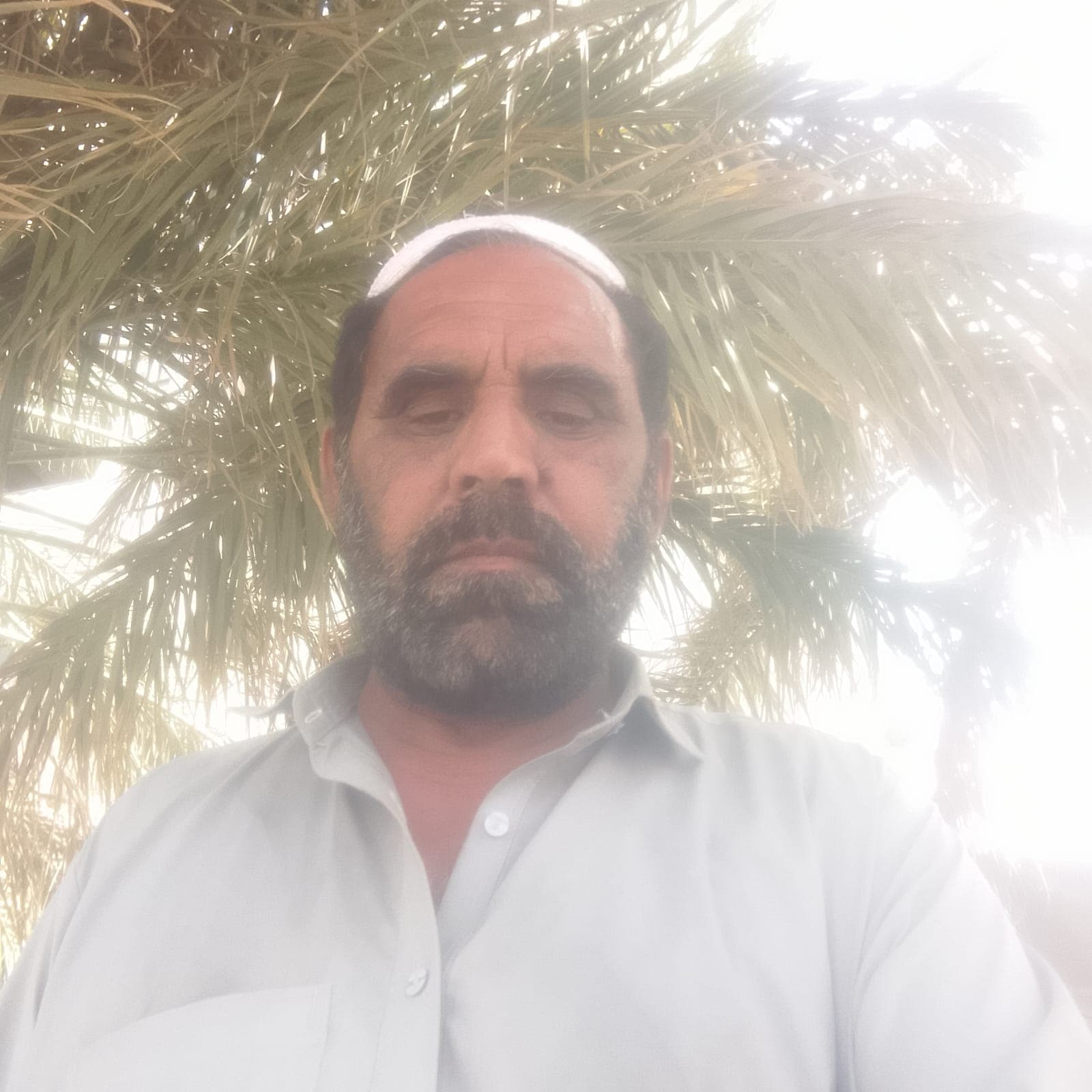 Zahoor Alam Shareen - Groom