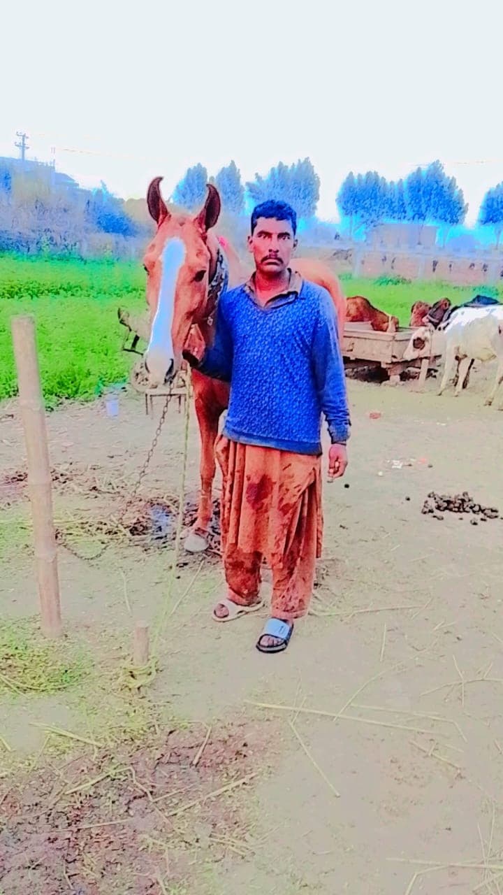 M Shakir Ghulam Muhammad - Groom