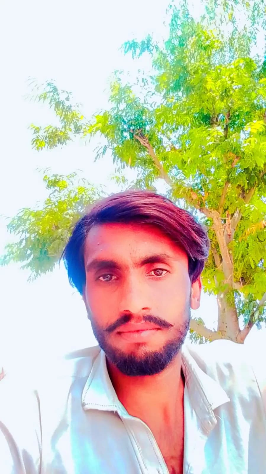 Zahid Mehmood M Ajmal - Groom